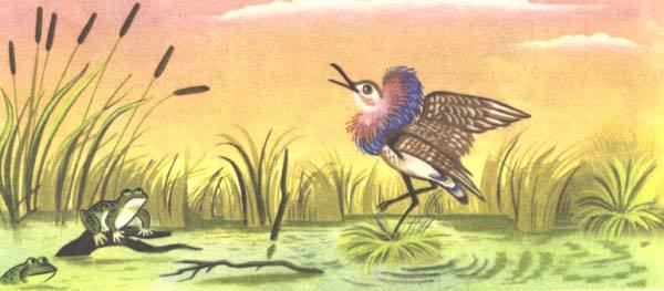 Кулик на болоте - Просторы